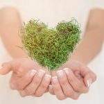İTHAL PLASTİK Mİ YASAK OLSUN ? İTHAL HABER VE HABERCİ Mİ ?