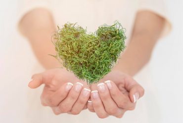 close-up-heart-made-greenary